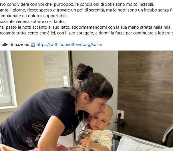 La raccolta fondi per la piccola Sofia article-post