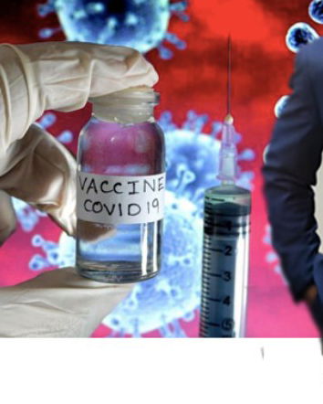 Nicolas Hulscher, VAIDS e antivaccinismo