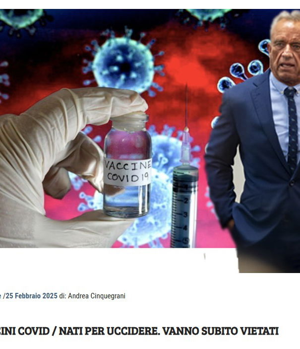 Nicolas Hulscher, VAIDS e antivaccinismo article-post