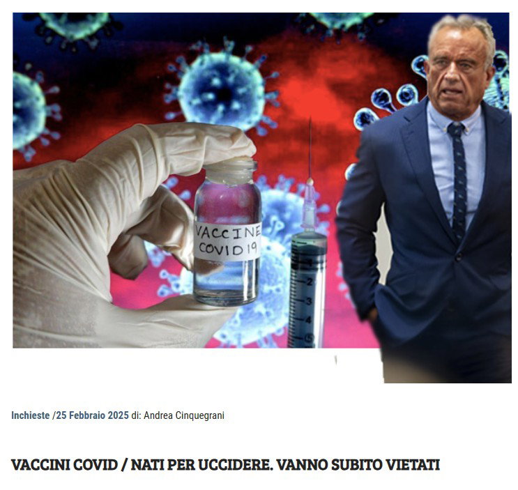Nicolas Hulscher, VAIDS e antivaccinismo article-post