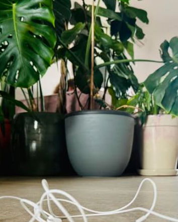 Gli auricolari alla guida e il Codice della Strada