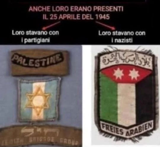 Palestinesi, ebrei e Resistenza article-post