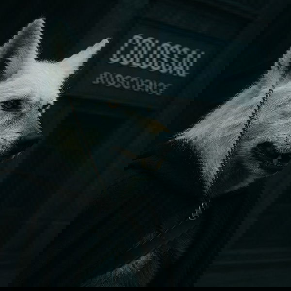 Lupi riportati in vita e misinformazione