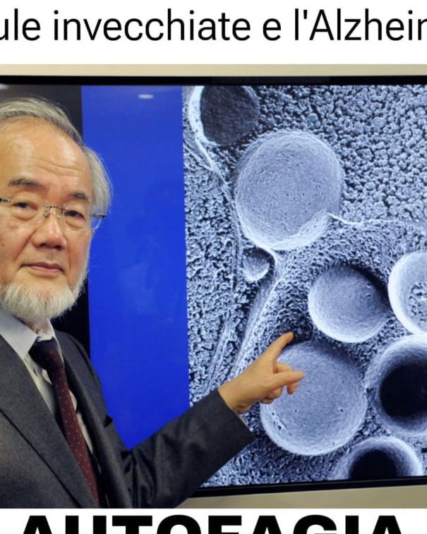 Yoshinori Ohsumi e il digiuno cura d’ogni male article-post