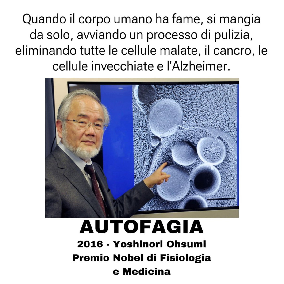 Yoshinori Ohsumi e il digiuno cura d’ogni male article-post