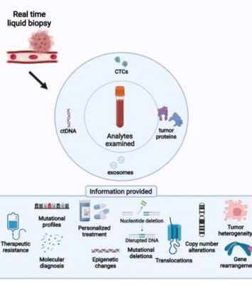 Cancro, olistica e pericolosa disinformazione