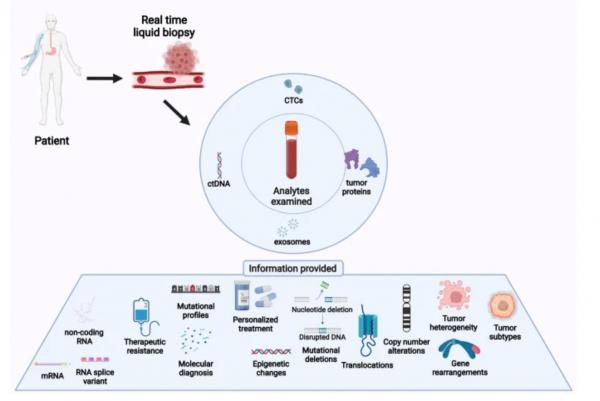 Cancro, olistica e pericolosa disinformazione