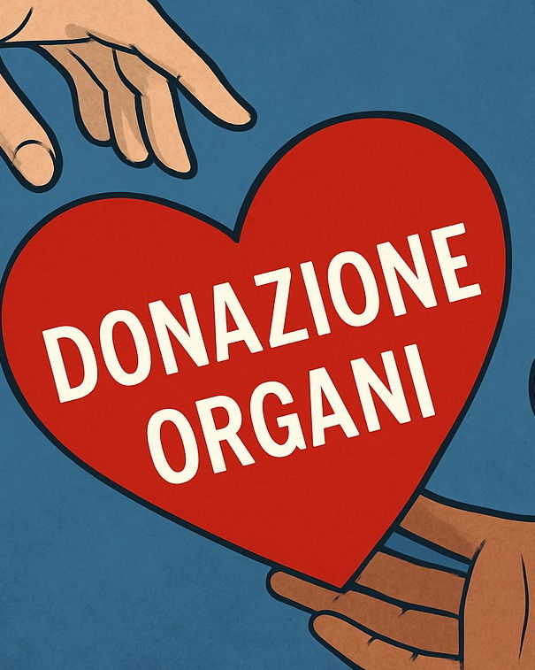Donazione di organi: come funziona? article-post