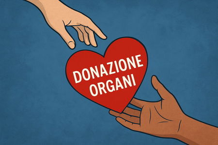 Donazione di organi: come funziona? article-post