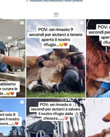 8 secondi per salvare il nostro rifugio