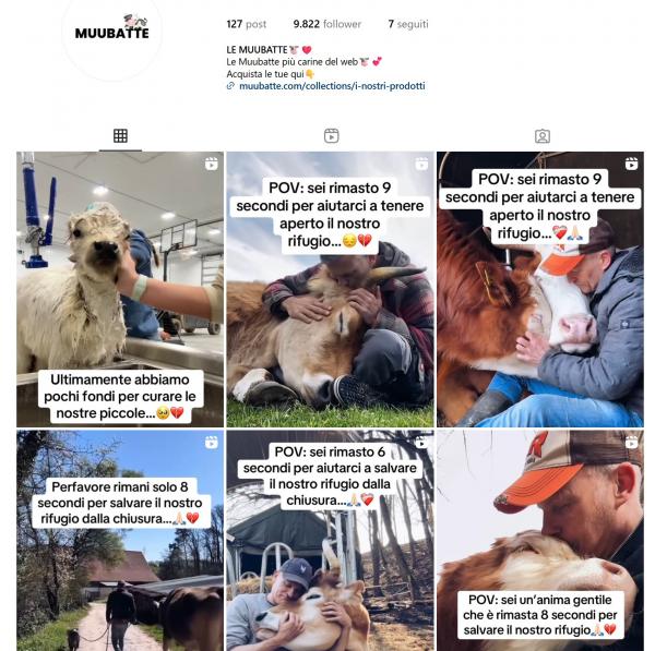 8 secondi per salvare il nostro rifugio