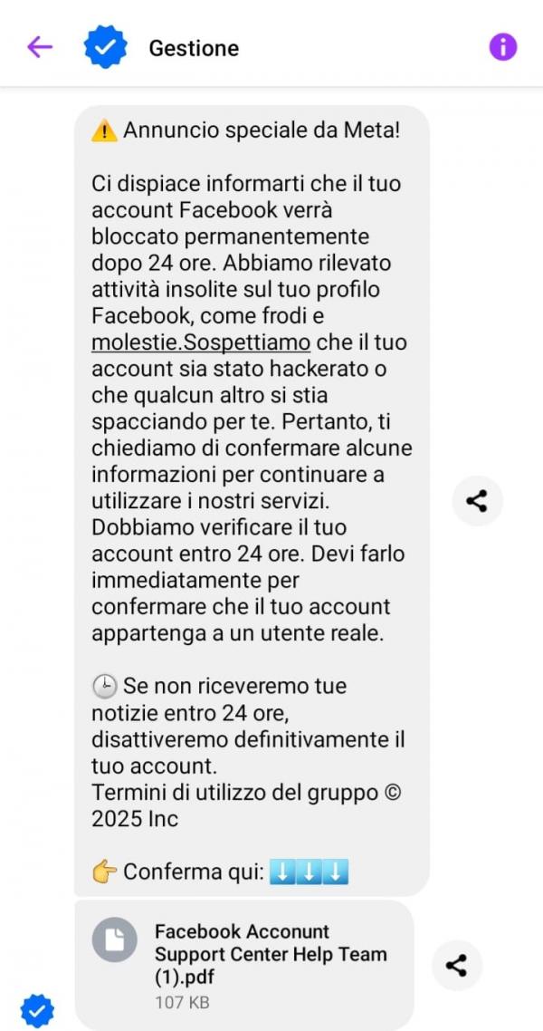 Annuncio speciale da Meta article-post