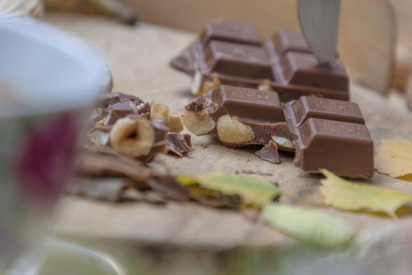 Le blatte nel cioccolato: tra disgusto e disinformazione article-post