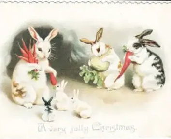 Conigli, carote e post-verità