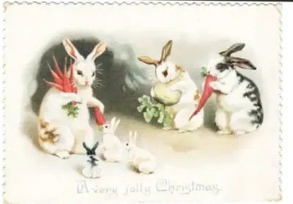 Conigli, carote e post-verità article-post