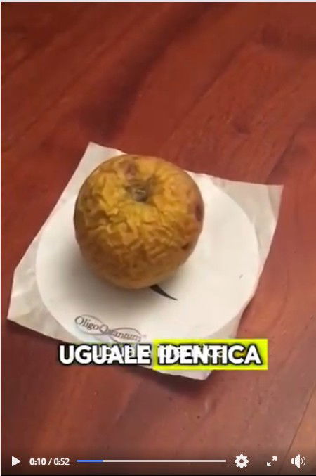 Il Q-Food e le mele article-post