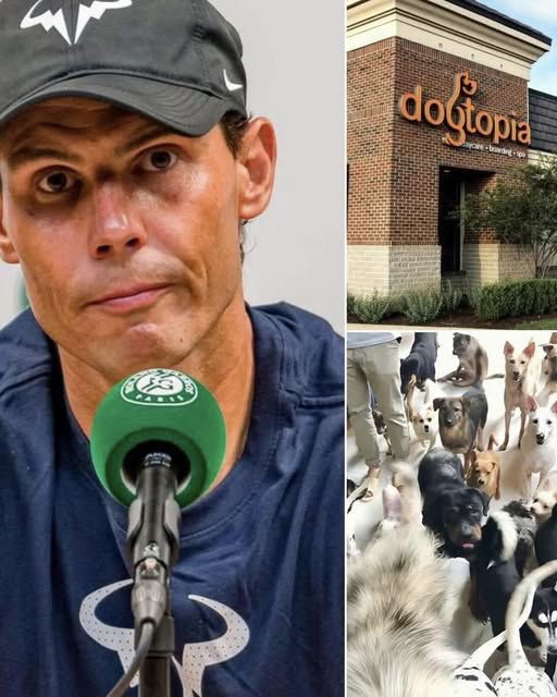 Nadal, Sinner e Bagnaia: la bufala del canile dei campioni article-post