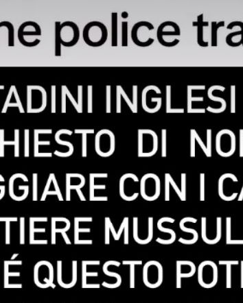Vietato passeggiare col cane nei quartieri musulmani?