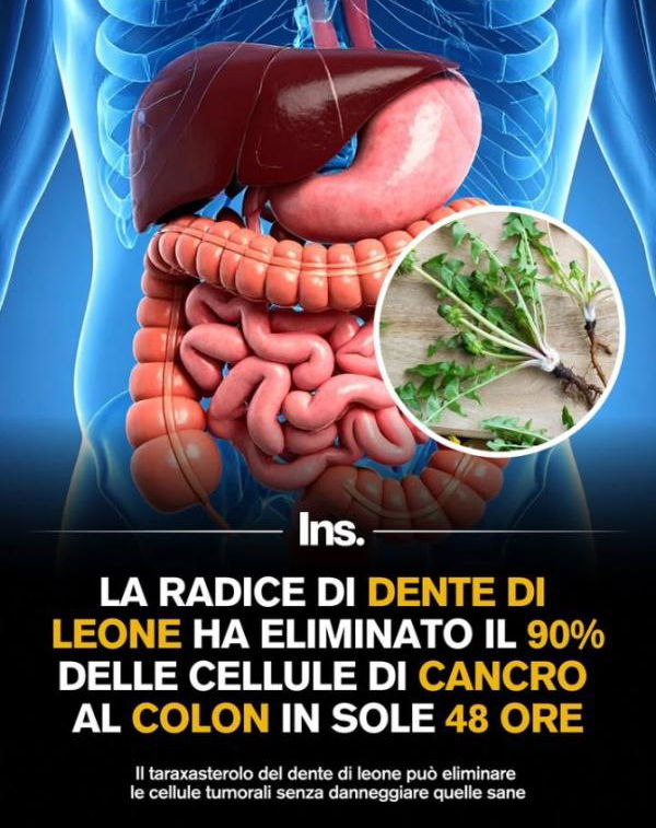 Dente di leone, cancro e clickbait article-post