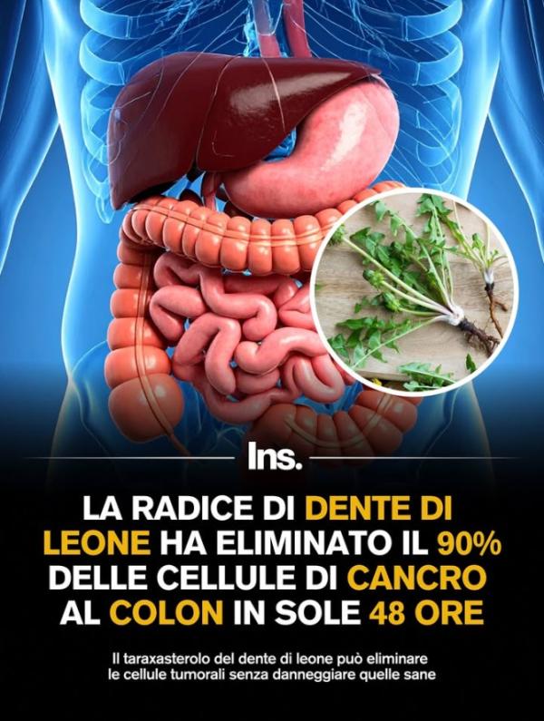 Dente di leone, cancro e clickbait article-post