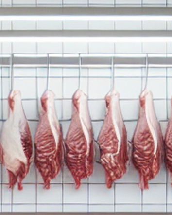 Il “pericolo Islam” e Fuori dal Coro