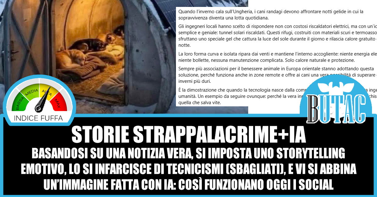 Tunnel per cani: mito o realtà? La verità sull’Agility Dog