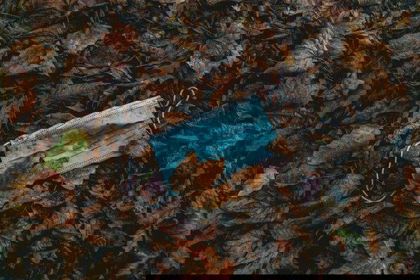 La Commissione COVID, Jay Bhattacharya e il pregiudizio di conferma