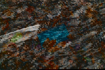 La Commissione COVID, Jay Bhattacharya e il pregiudizio di conferma article-post