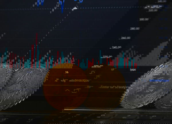 Il falso tweet di Elon Musk che svuota i conti correnti