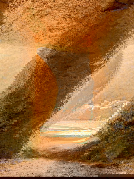 Pizzaballa e la messa della Domenica delle Palme article-post