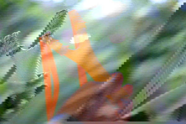 La Fionda ci critica: rispondiamo