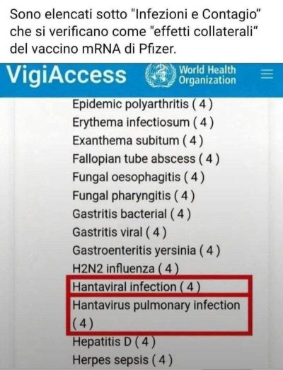 Hantavirus, COVID-19 e vaccino Pfizer article-post