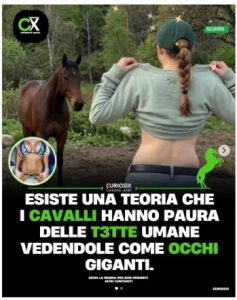 Esiste una teoria che (sic) i cavalli hanno paura delle t3tte umane vedendole come occhi giganti.