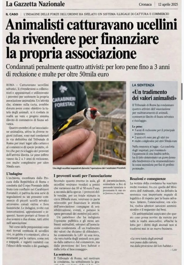 article-post