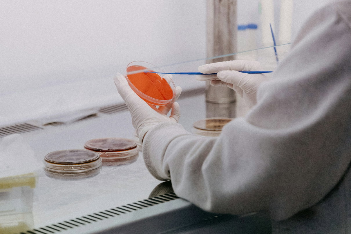 Il cibo di laboratorio, secondo Coldiretti e Ministero article-post