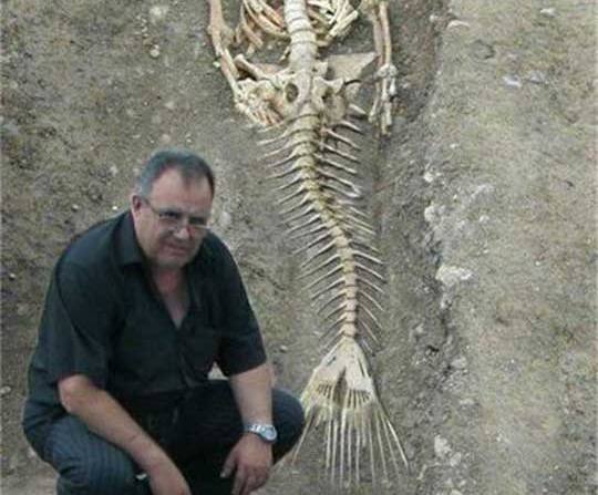 La bufala dello scheletro di sirena article-post