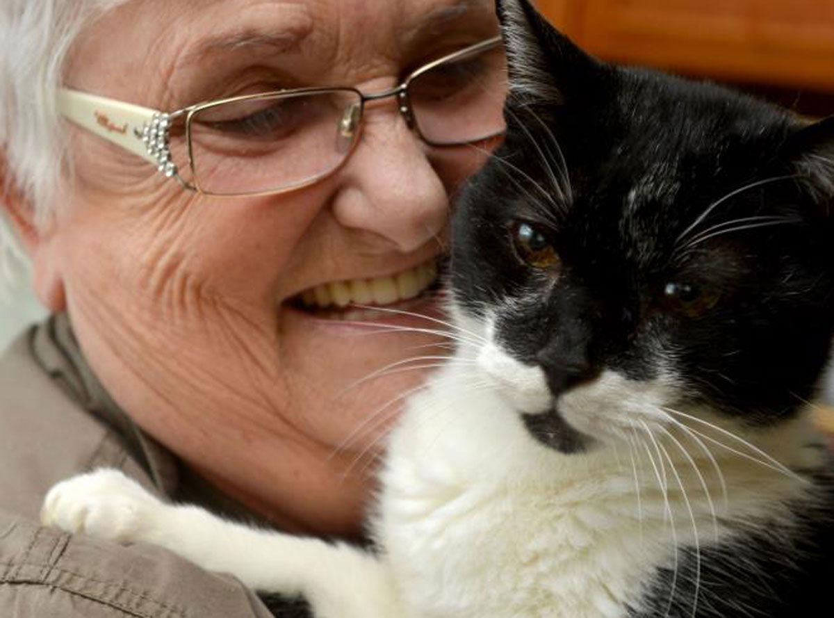 Il gatto più vecchio del mondo