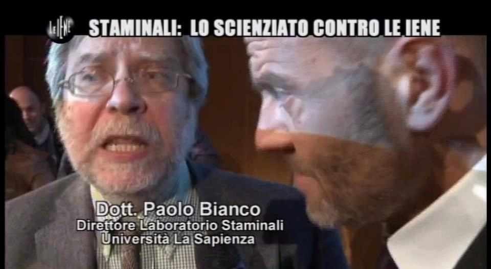 La piccola Sofia, Stamina, le Iene e la soap opera del dolore article-post