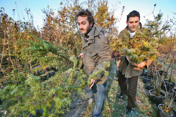 Il giardinaggio ti fa dimagrire più della palestra