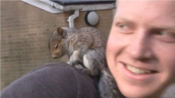 Le sette cose assurde che possono farti avere un incubo