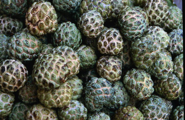 I 25 cibi orribili… ma così buoni