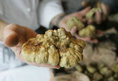 La manovra del popolo taglia l’Iva sui tartufi (come per un bene di prima necessità)