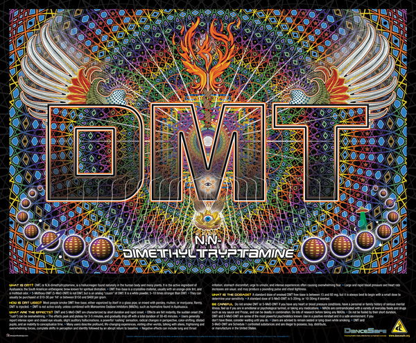 DMT: l’allucinogeno che è tutto intorno a te