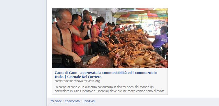 La bufala della carne di cane commestibile article-post