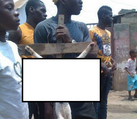 Il grande ritorno della bufala del gatto crocifisso