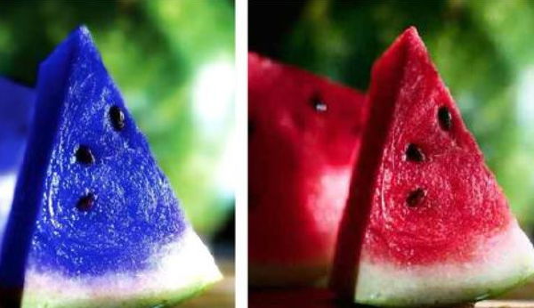 La bufala delll’anguria blu