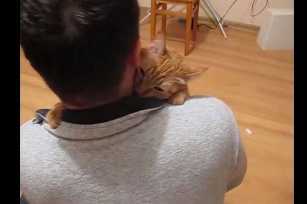 Il video dell’abbraccio di un gatto al suo padrone che ti scioglierà il cuore