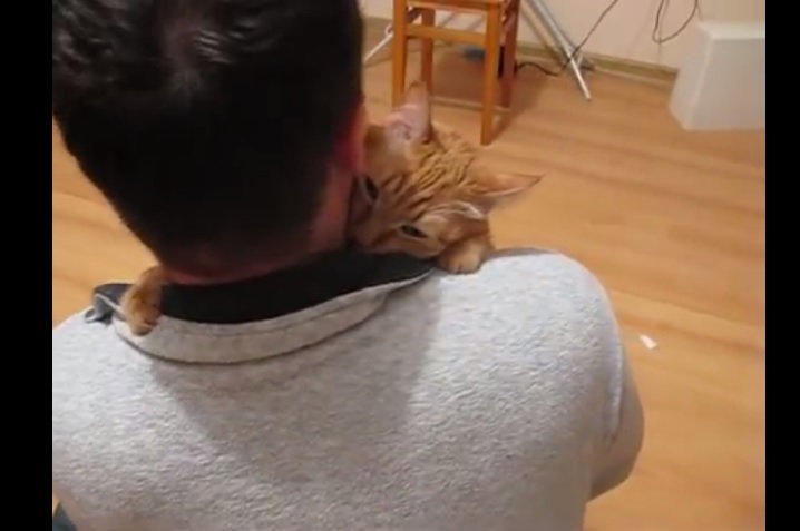 Il video dell’abbraccio di un gatto al suo padrone che ti scioglierà il cuore article-post