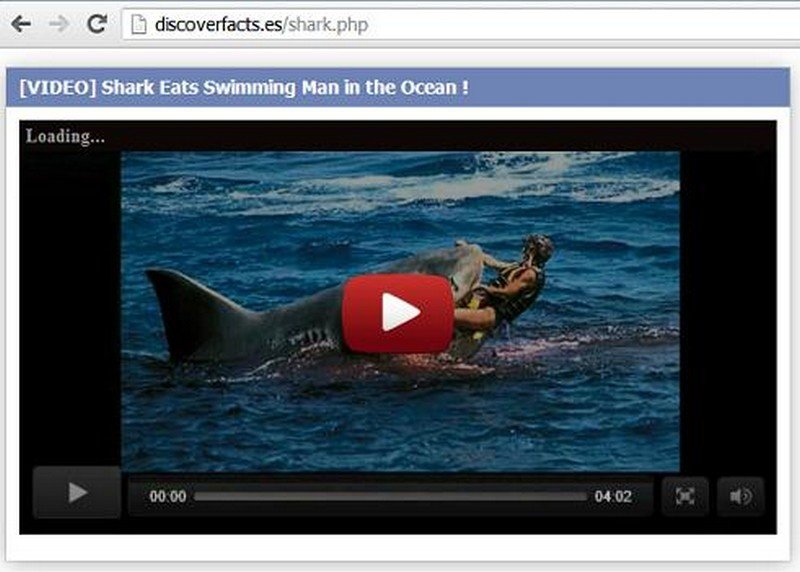 videotruffa-squalo-uomo-facebook (2)