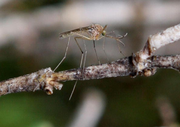 article-post